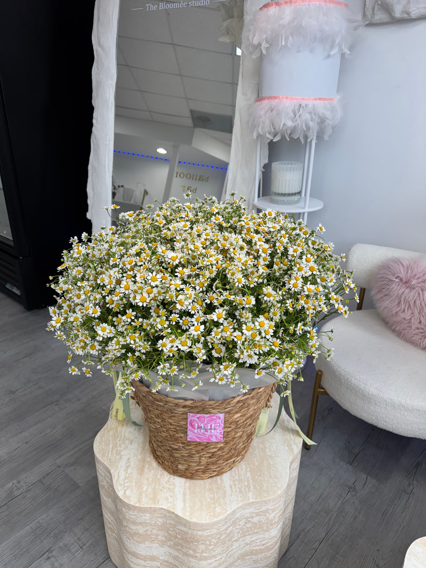Feverfew Daisies bucket
