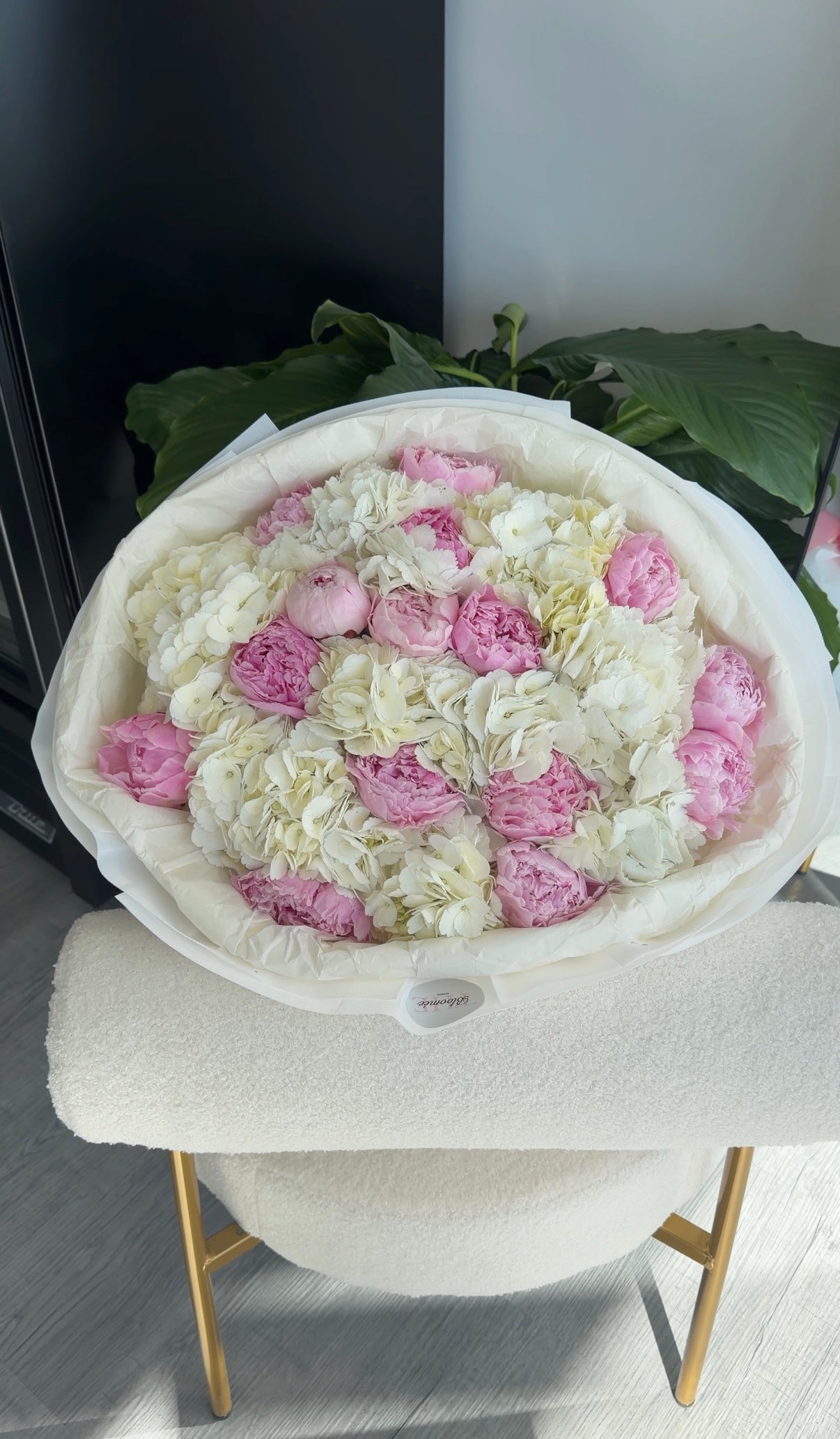 Pink Vanilla