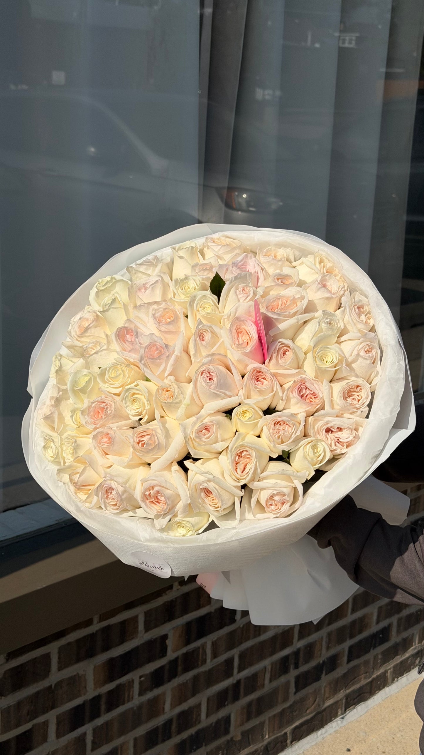 White OhAra rose