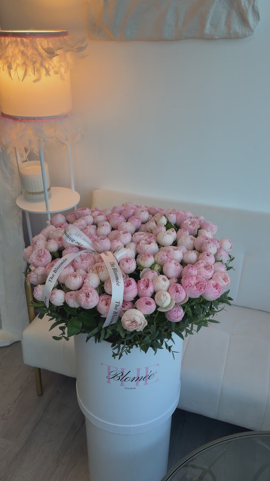 Mansfield Park roses box