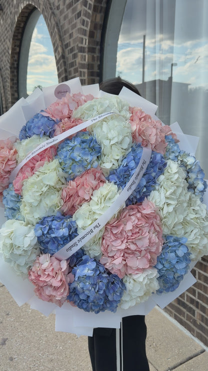 Rainbow mix hydrangeas
